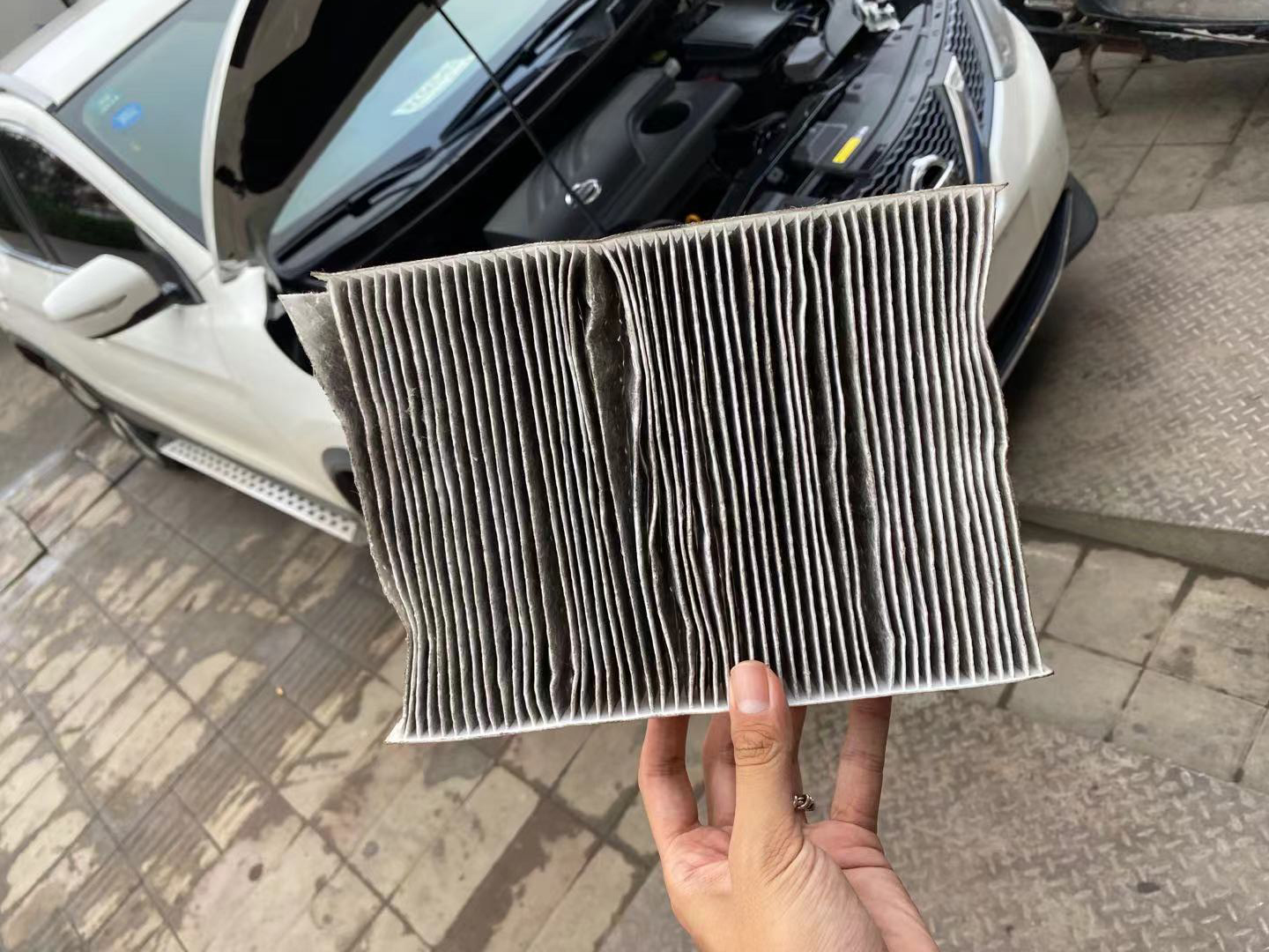 日产逍客新款豪华版双拼色,日产逍客珍珠白