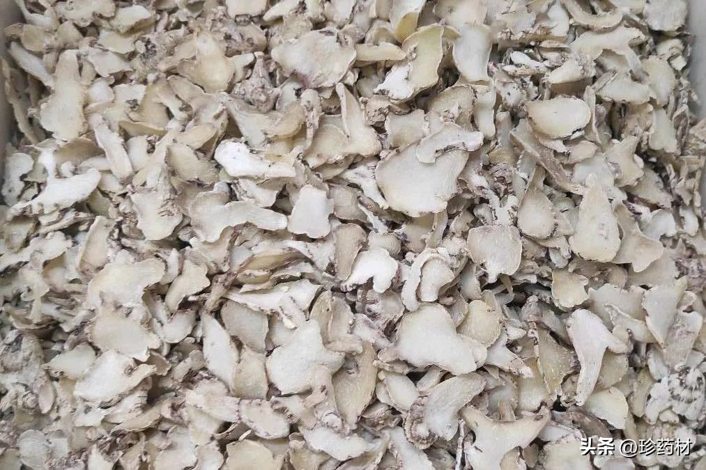 8月18日中药材市场快讯：厚朴、白及、桑叶、荆芥、丁香、豆蔻等