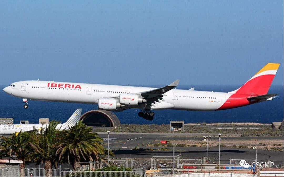 卡塔尔航空2022世界杯,2022卡塔尔世界杯角色