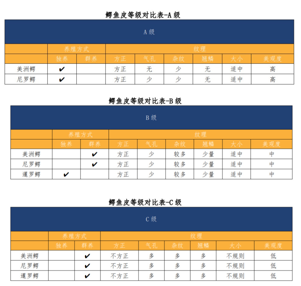 鳄鱼皮表带双面的好还是单面的好,你所不知道的鳄鱼皮表带
