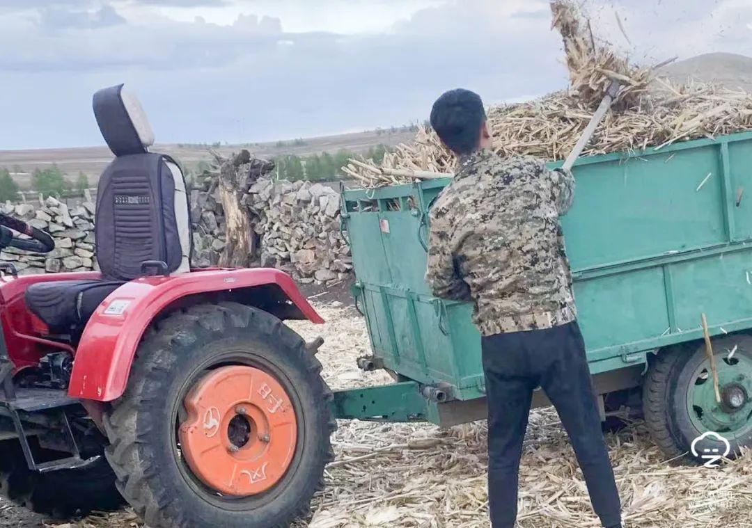 劳动教育在五育中的作用,内蒙古商贸学院劳动教育