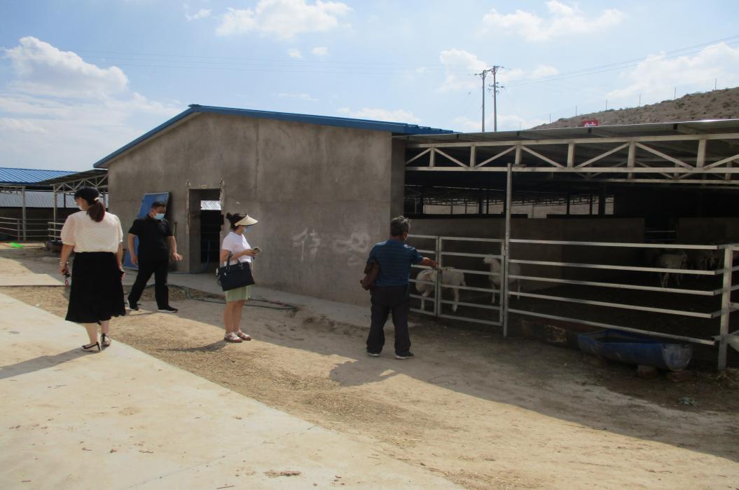 榆中县中小企业融资担保有限公司,优化营商环境皋兰