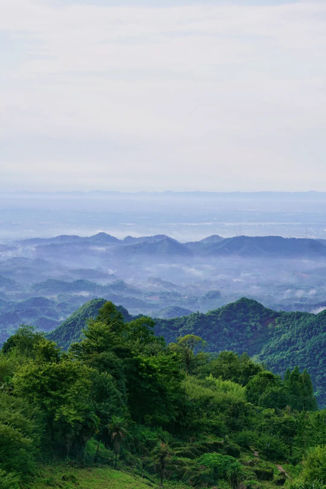 1.5h刹拢！被誉为川版“花城”，这个宝藏好耍地美得不像话