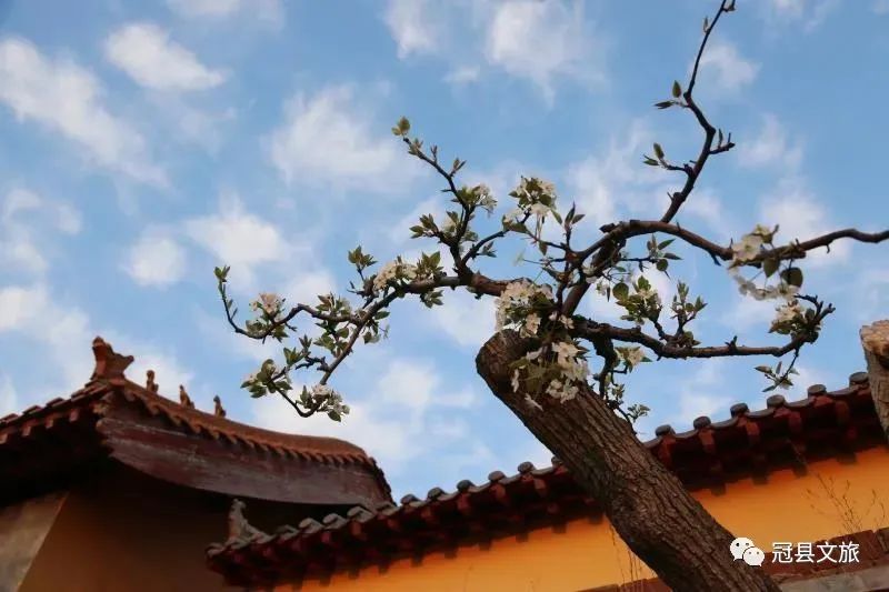 我家门前有条河原版视频,我家门前有条河视频