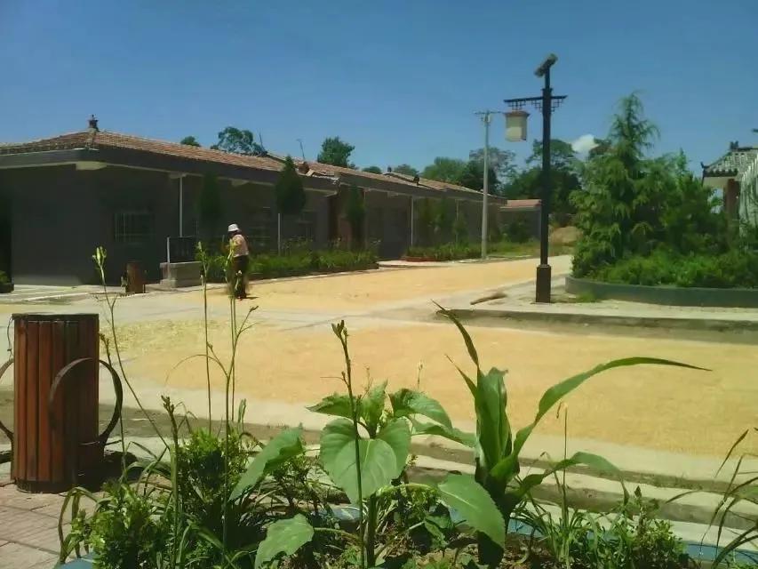 彬州市水口镇牛堡村简志