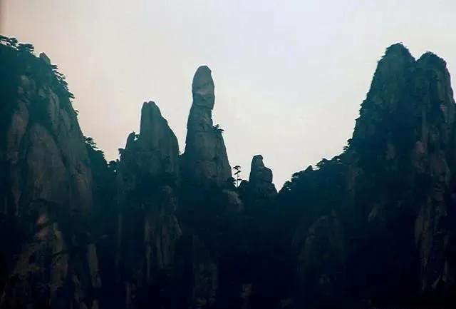 碧峰峡自然遗产大熊猫栖息地,世界自然遗产中国大熊猫栖息地