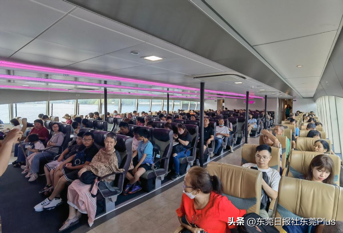 1小时50分钟直达、通关免排队！“东莞虎门-香港中港城码头”暑假专线开通