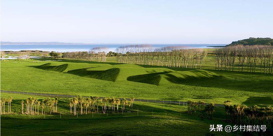 新西兰吉布斯农场——当农业与艺术开始跨界合作，会出现?