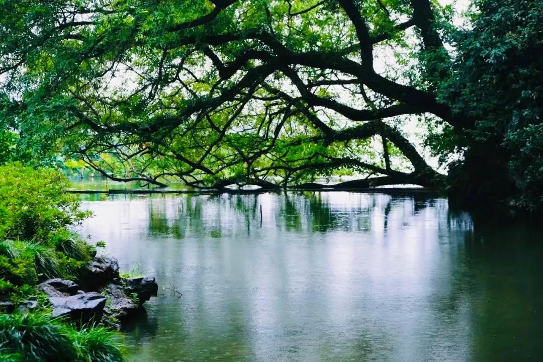 閮簞鍒樺簞,钂嬪簞鍒樺簞