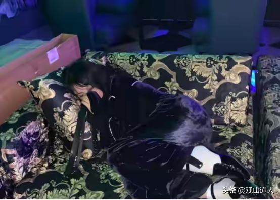 女学生假扮名媛，在北京高档会所白嫖21天，揭露社会残酷*规则潜**