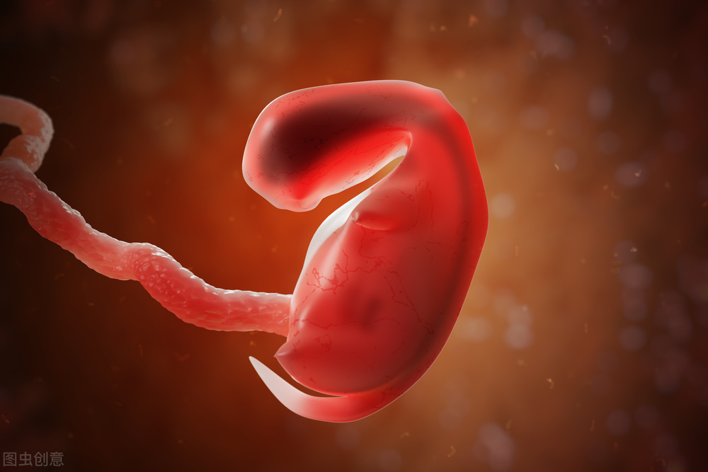 站桩练拳怎么打,站桩打拳