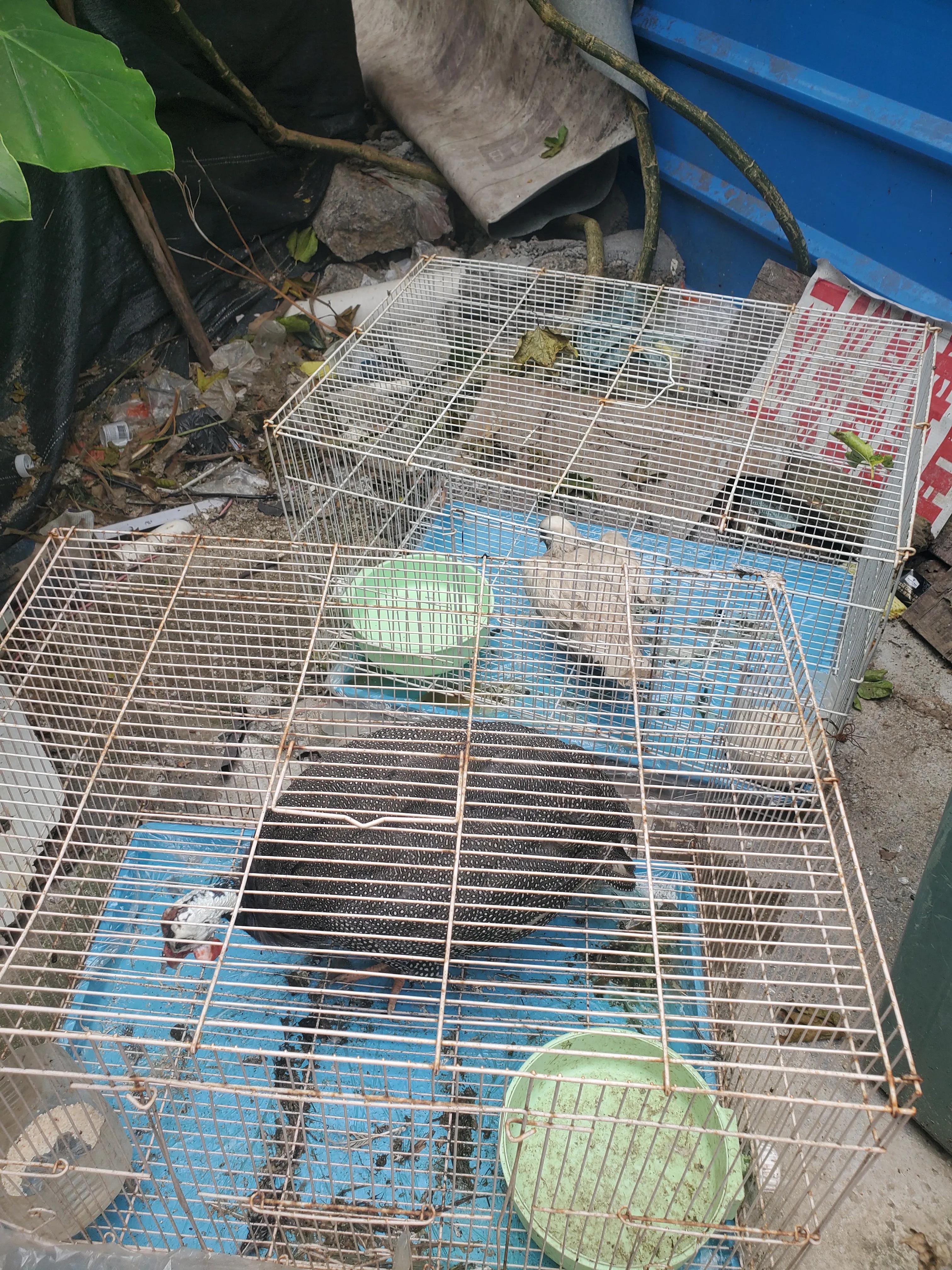 深圳踩坑亲子游之“女博士生态庄园”