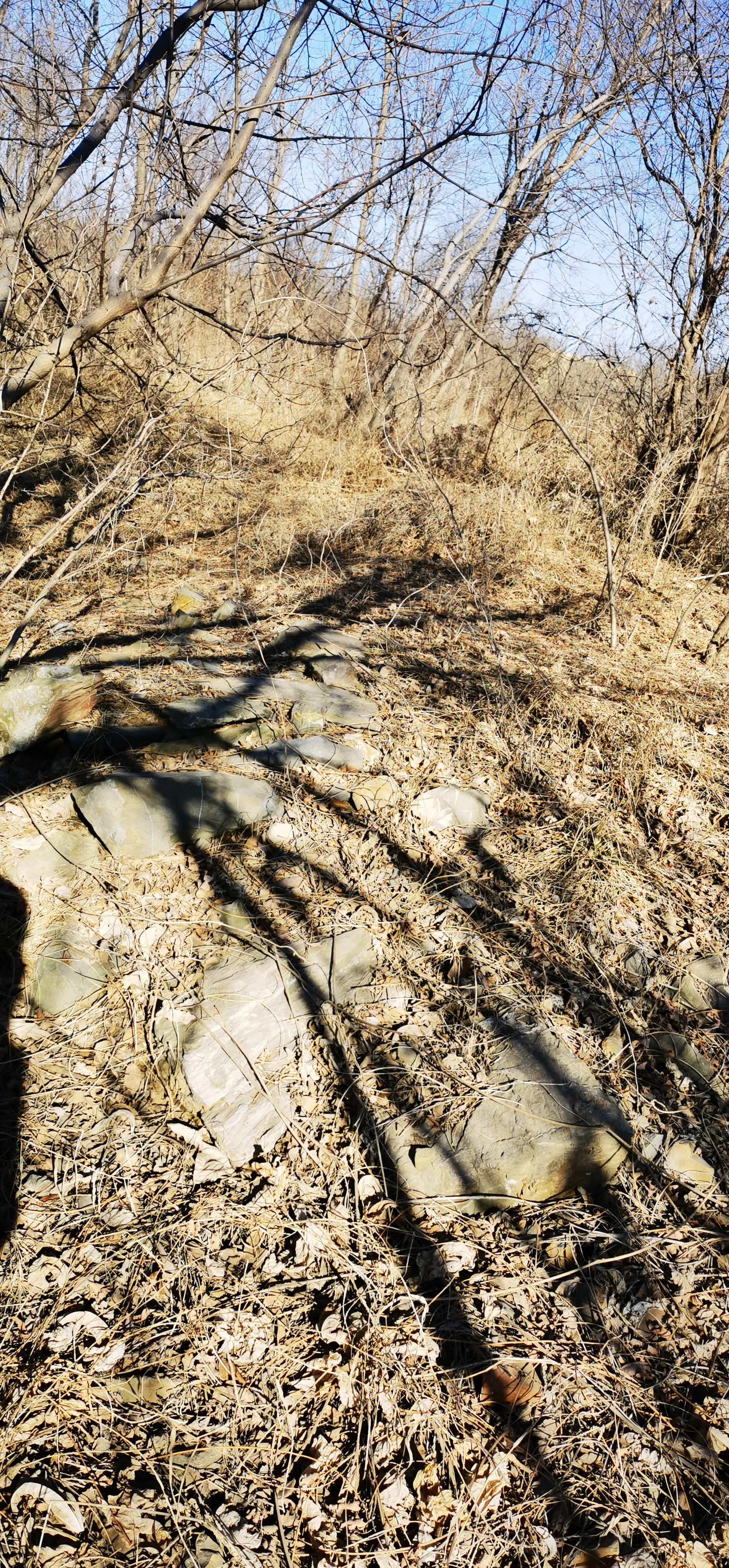 大连长城遗址,在大连看长城