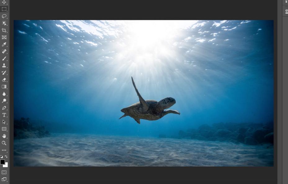 在测试5款水印图像软件时，数码弧和SignMyImage为何能存活下来？