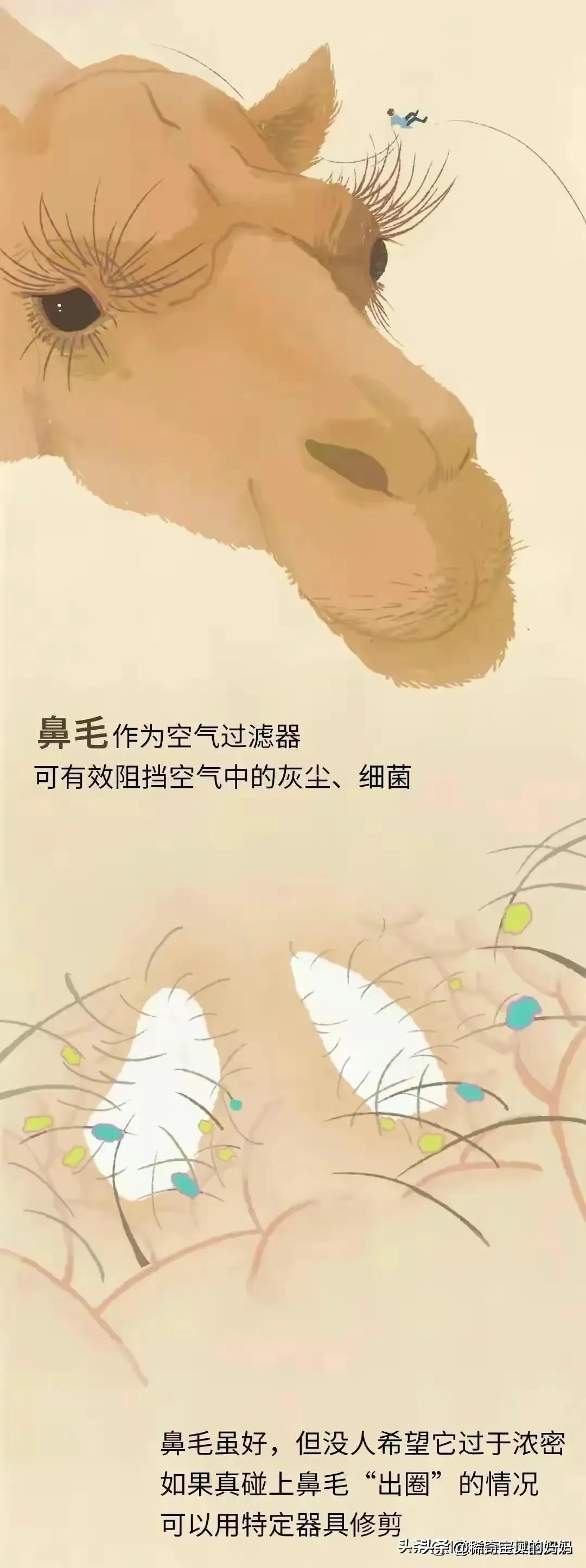 人类的体毛作用,人类为何没有浓密的体毛