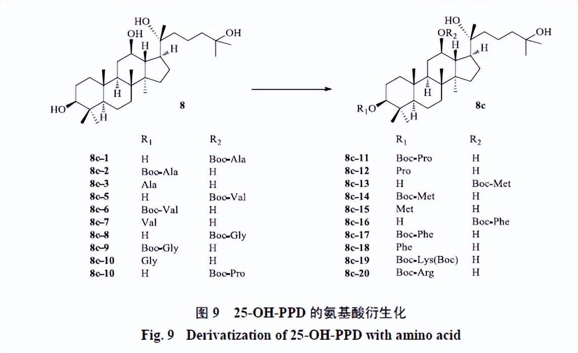 人参皂苷类化合物,人参皂苷结合物