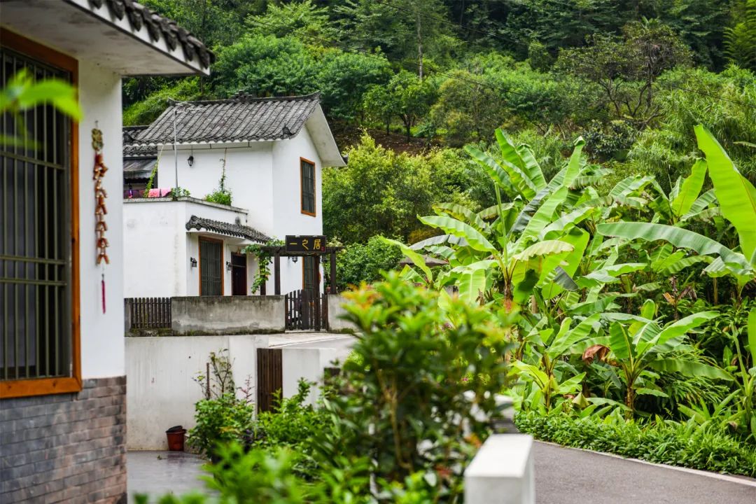 沐川旅游景点大全最新,沐川乡村旅游景点介绍大全