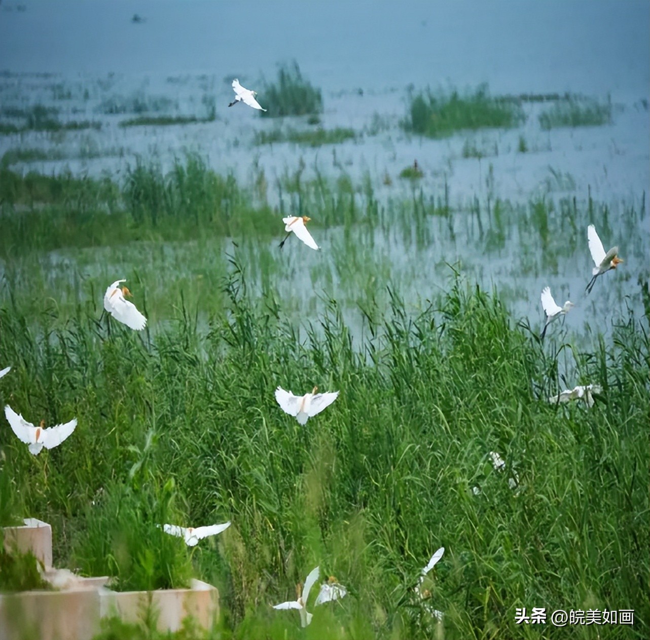 合肥周围旅游景点推荐一下,国庆合肥适合5岁小孩玩的地方