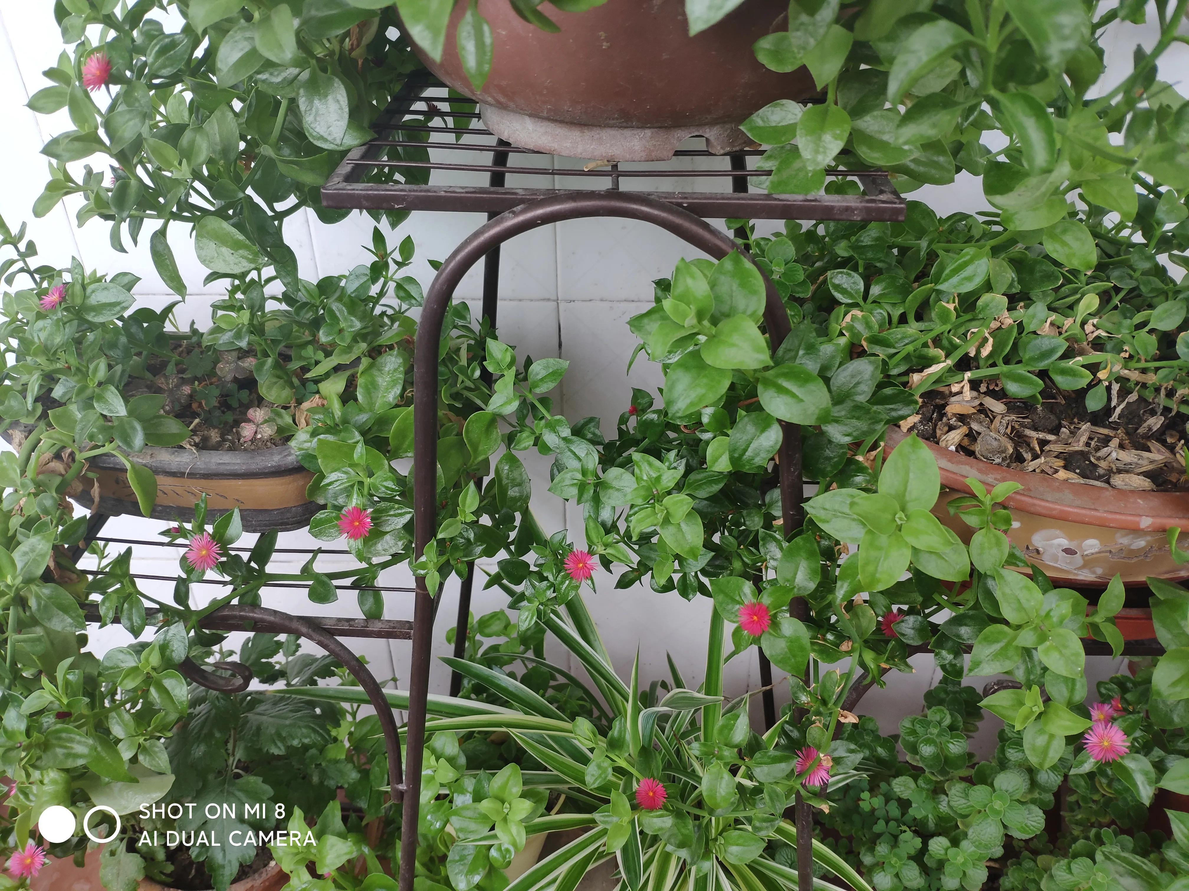 炎热的夏日突然停电了,下雨停电了没有网络怎么办