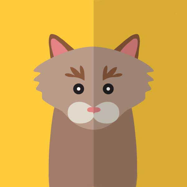 三十六中传奇纪录片,传奇三十六计