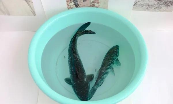 简单diy手工制作飞机,自制diy飞机