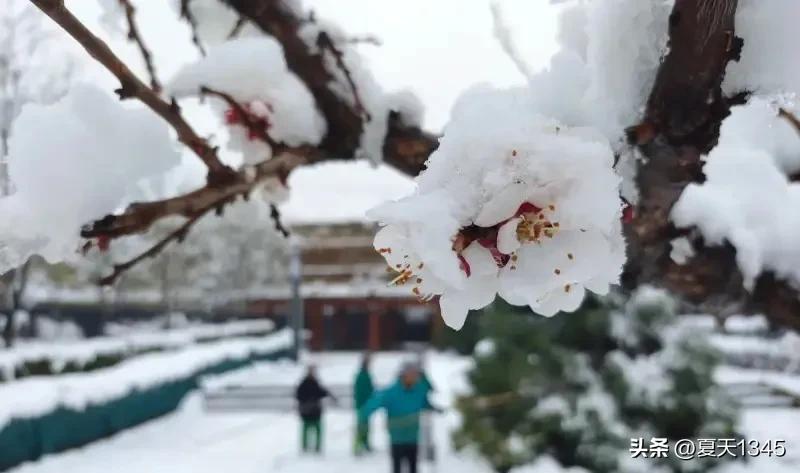 山西多地迎大风和弱降水天气,2021山西有暴雪天气吗