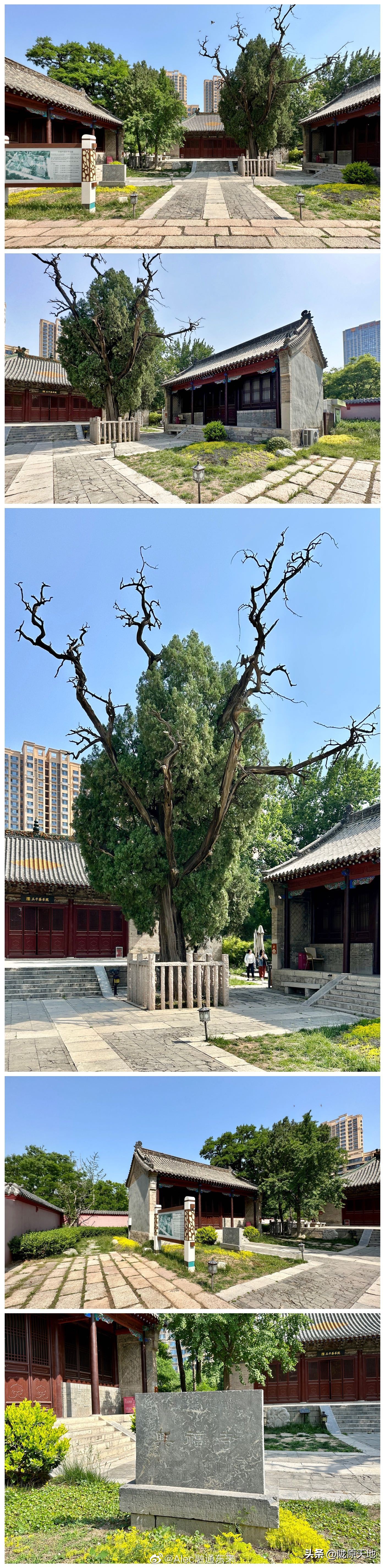 游遍中华名胜,游遍中华五岳