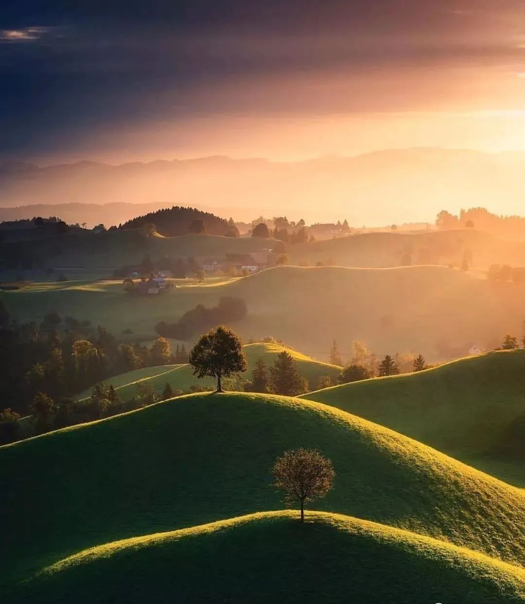 学习优秀摄影作品,摄影教学作品欣赏