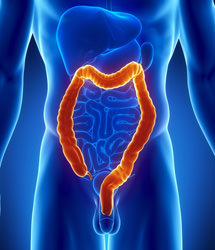 大肠内窥镜检查视频讲解,大肠内窥镜检查如何给药