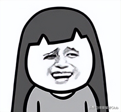 狗狗掉毛都快秃了还痒,狗狗尾巴毛掉秃了怎么回事