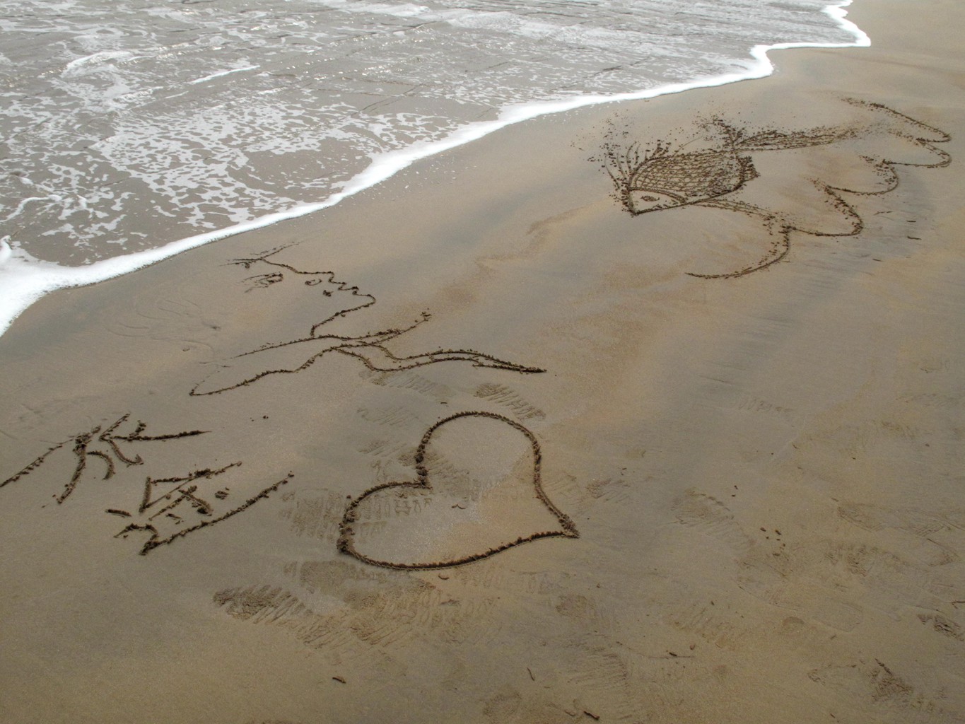 岱山岛为什么叫岱山岛呢,岱山岛定位