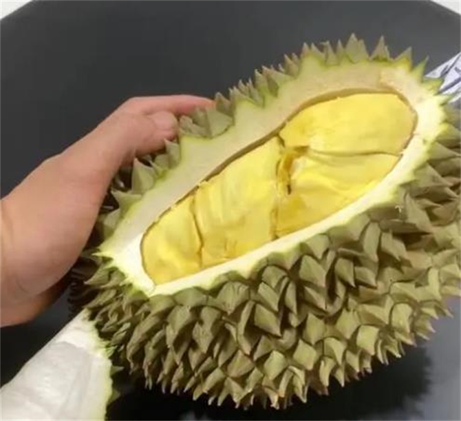 榴莲打开不熟硬的怎么补救,打开榴莲不熟要怎么放才能熟