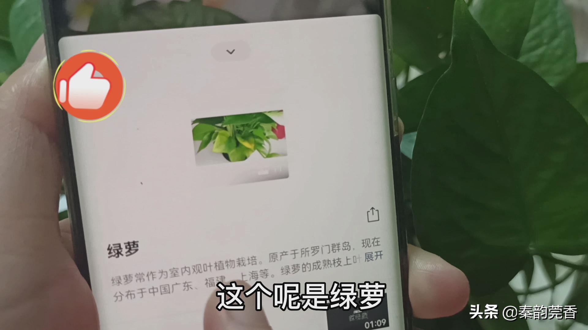 微信右上角加号有哪些功能,微信下方有个隐藏加号