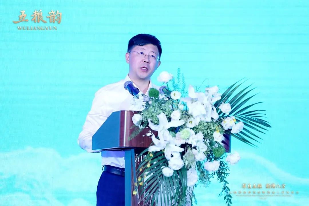 五粮韵有哪几款,五粮韵系列图片