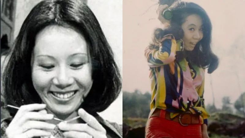 刘美含内娱隐形学霸,刘美含失意者联盟