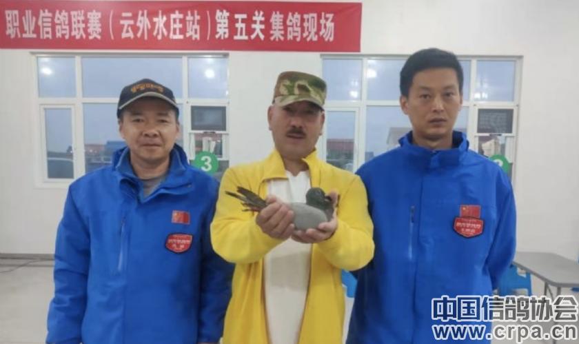 世界杯总决赛7-1,世界杯总决赛后半场回放