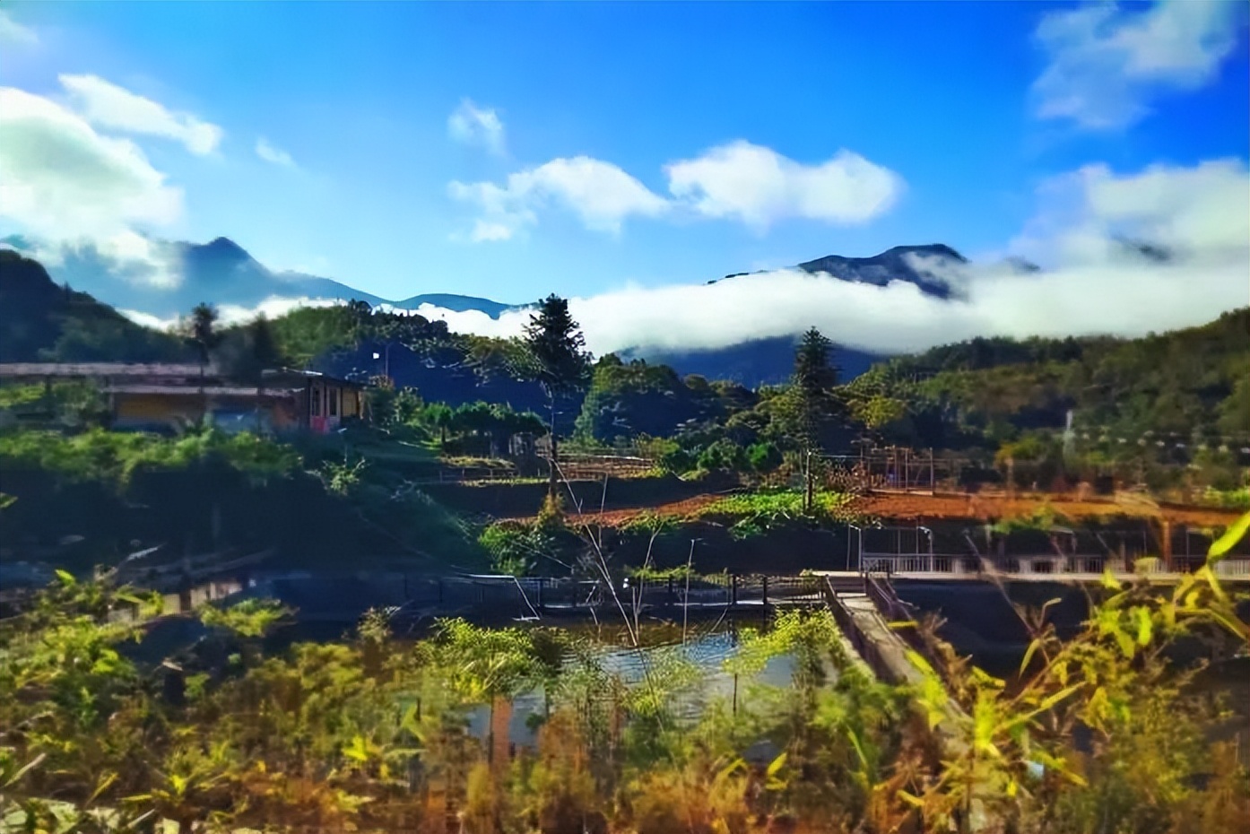 夏天游玩路线,夏天旅游最佳路线推荐