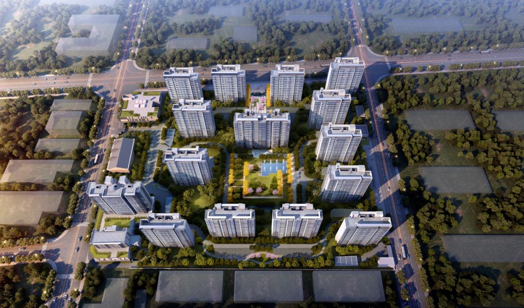 为什么上海人认同温州人,上海人为什么很认可仁济医院