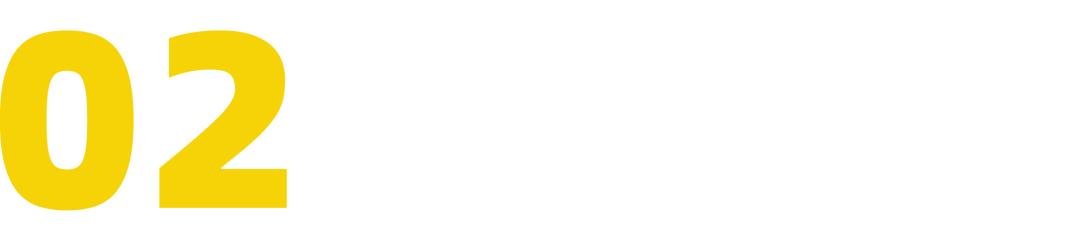 patagonia的总裁,patagonia品牌创始人