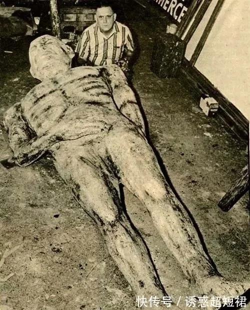 卡迪夫巨人最新消息,卡迪夫巨人是谁