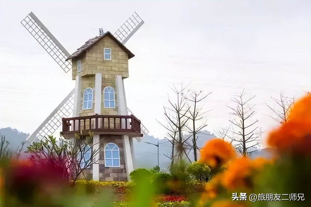 佛山广州两天两夜游玩攻略,佛山去南海湾森林公园