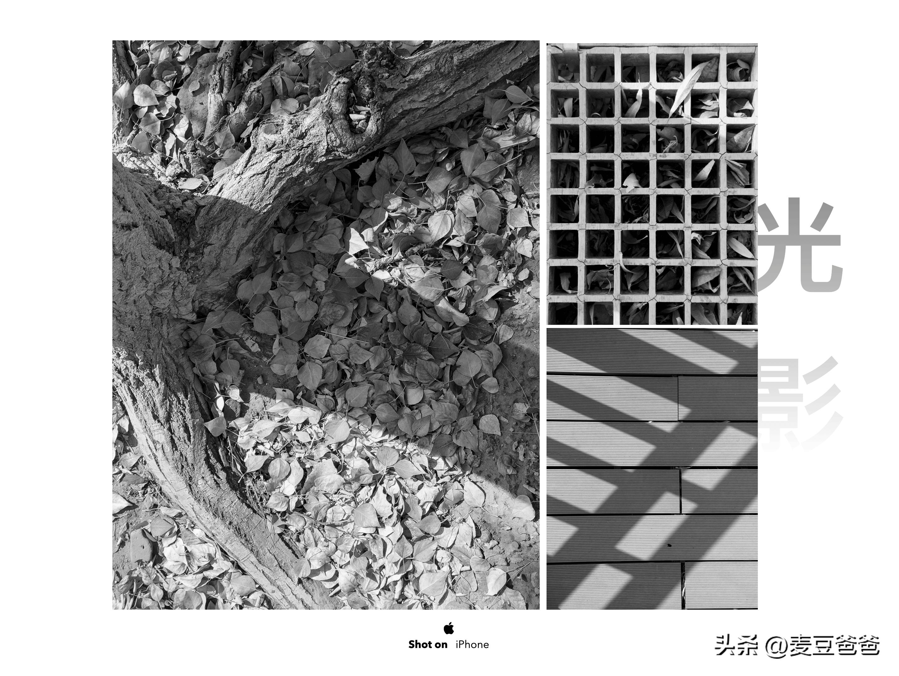 如何利用苹果14手机拍高清图片,iphone14如何拍出好看照片