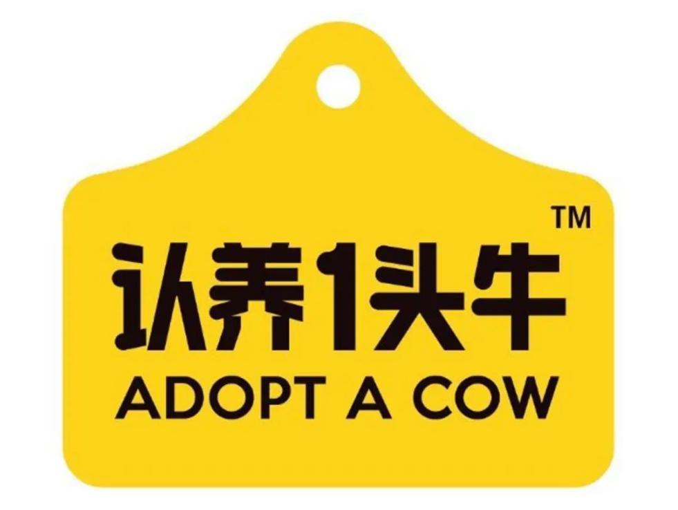 认养一头牛营销策略成功的原因,认养一头牛的创新发展之路