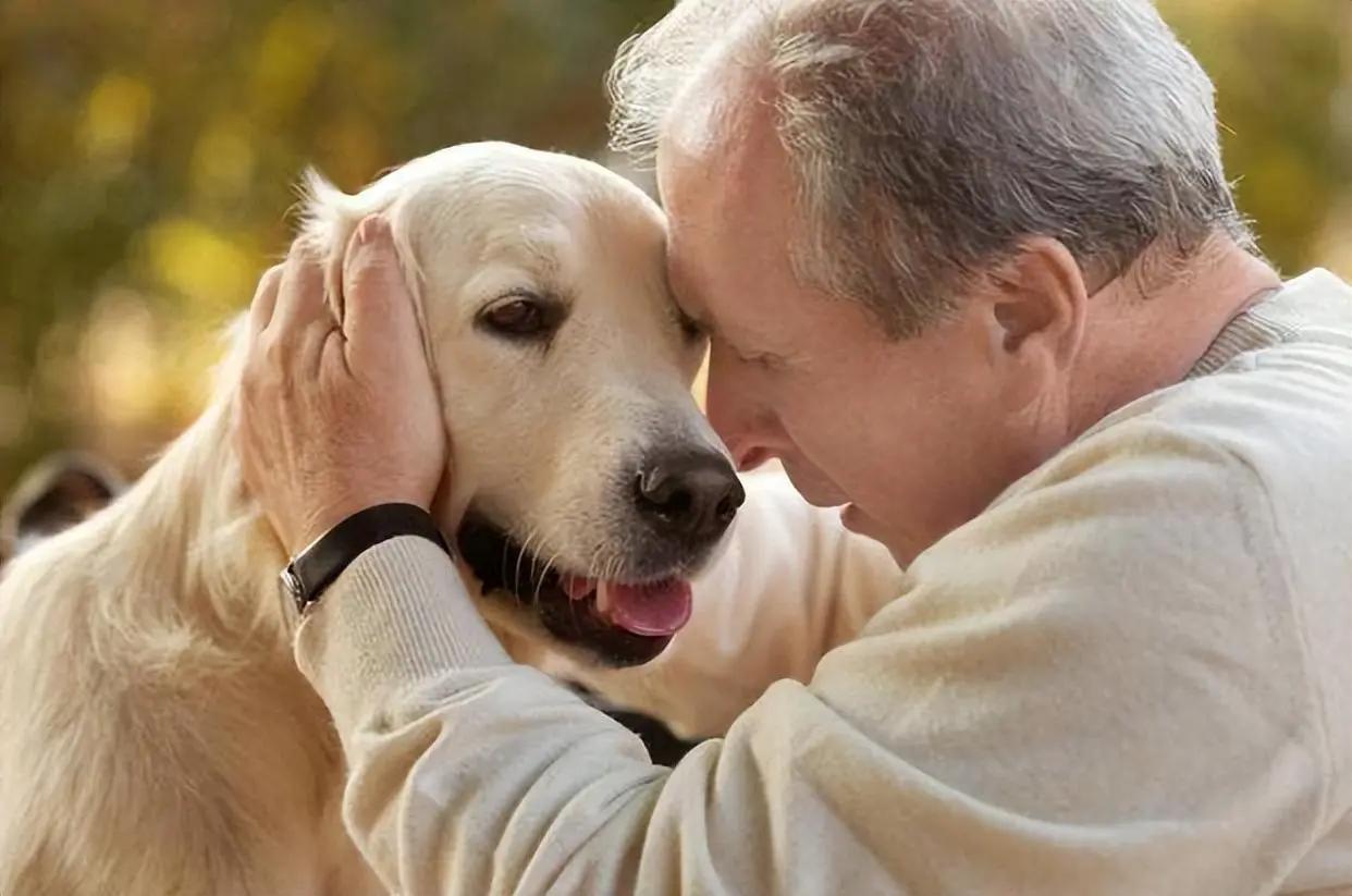 狗狗没有安全感的表现有哪些,没有安全感狗狗能睡这么踏实