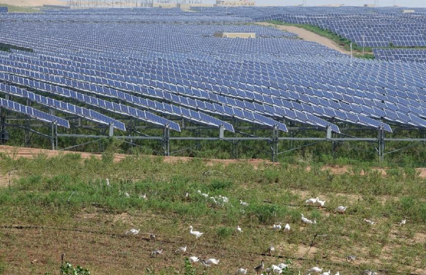 中国光伏发电有多牛,中国在沙漠建全球最大光伏