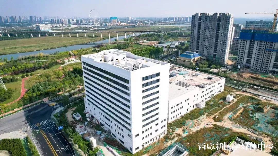 家门口的风景越来越好看了,家门口环境改造