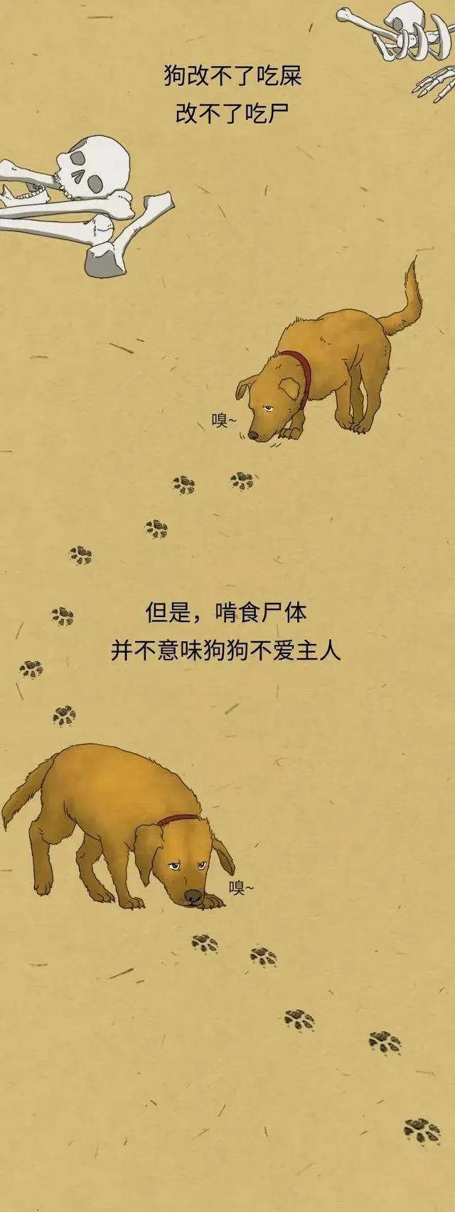 漫画：“铲屎官如果突然挂了，狗狗会等多久吃掉尸体？”网友神评