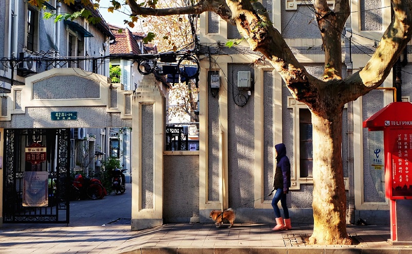 上海嘉定十大旅游景点,上海宝山区十大景点