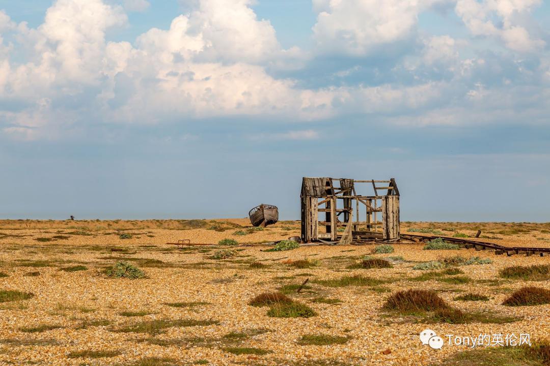 不用外出也可以欣赏草原美景,英国的惬意风景