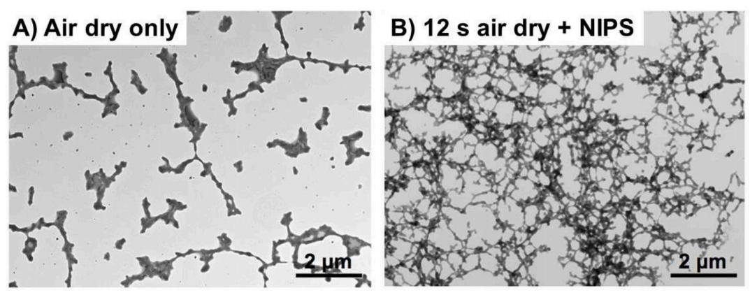 环糊精聚合物的自组装,聚合物胶体的自组装
